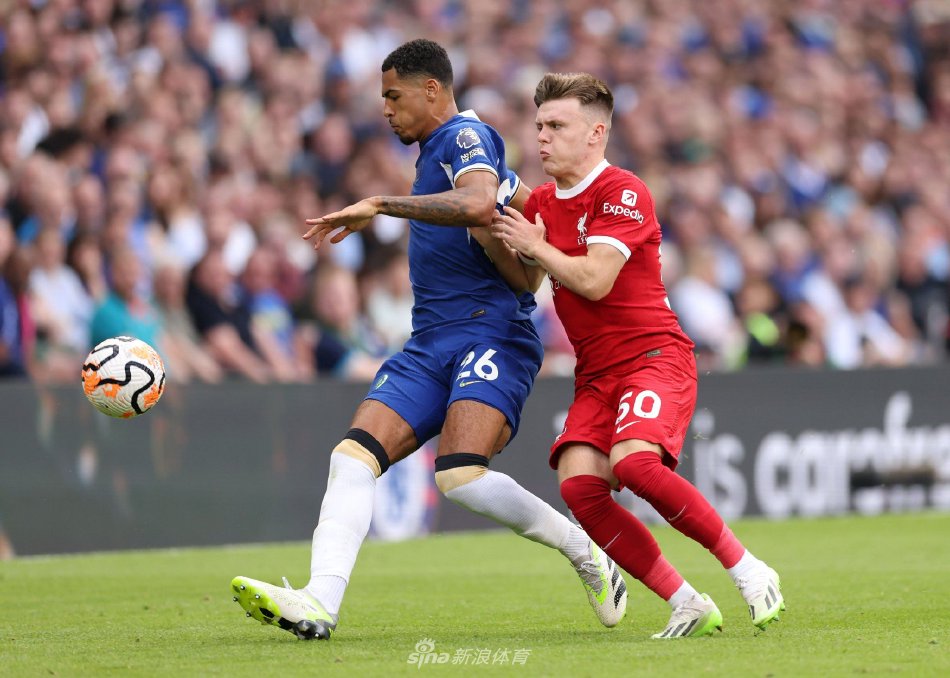 不仅扳平了 不仅扳平了